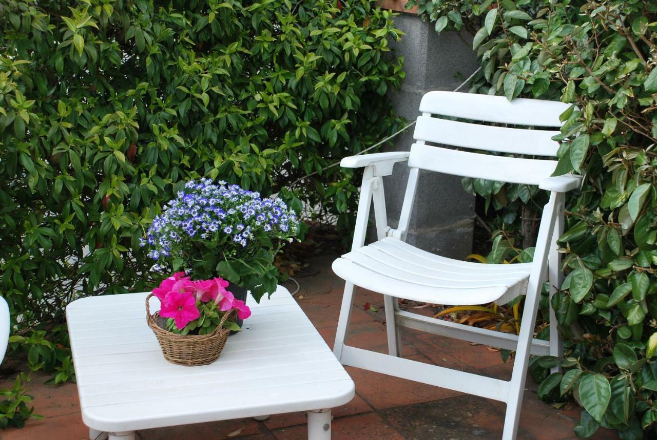 Ferienwohnung Casa Ai Pini Panzano in Chianti Exterior foto