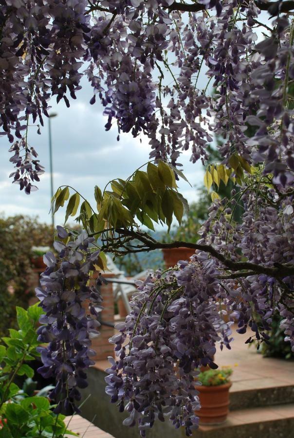 Ferienwohnung Casa Ai Pini Panzano in Chianti Exterior foto