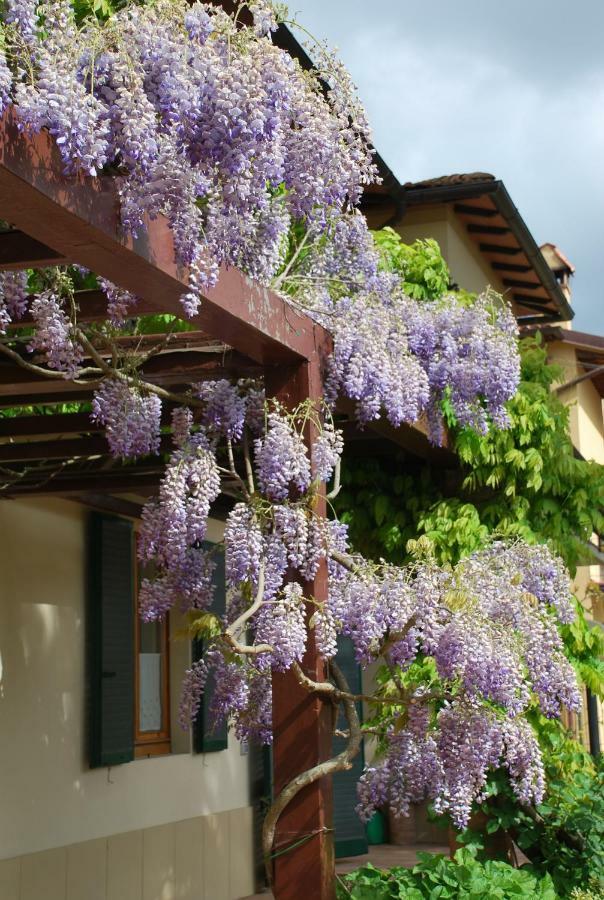 Ferienwohnung Casa Ai Pini Panzano in Chianti Exterior foto
