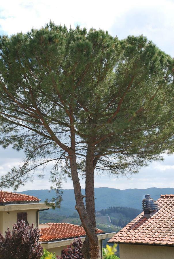 Ferienwohnung Casa Ai Pini Panzano in Chianti Exterior foto
