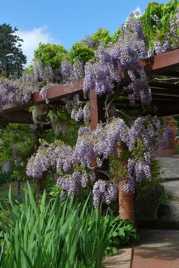 Ferienwohnung Casa Ai Pini Panzano in Chianti Exterior foto