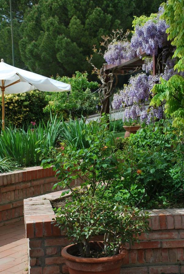 Ferienwohnung Casa Ai Pini Panzano in Chianti Exterior foto